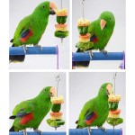 Bird Feeder Supplier - Parrot with Stainless Steel Fruit Fork Corn Apple Vegetable Fork