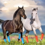 Horse Leg Cover Manufacturer - Leg Protection Anti-mosquito Cover Equestrian Supplies