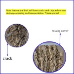 Cork Bark Supplier - Natural Virgin Champagne for Aquarium Reptile Box Decoration Habitat