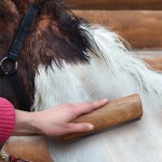 Horse Scraper Supplier - Equestrian Supplies 20cm Solid Wood Sweat Scraper Cleaning