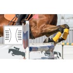 Horse Bandage Supplier - Equestrian Leg Soft Thick Fleece Set of 4 Pieces Gaiters