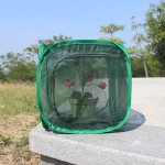 Insect Net Cage Supplier - Green Durable Ventilated Plant Pest Protection Seedling
