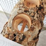 Wooden Gnawing Stick Manufacturer - Safe Eco-Friendly for Parrot Rabbit Molar Bird Guinea