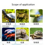 Pet Heating Pad Factory - Precise Temperature Control Breeding Box Heating Sheet