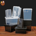 Small Reptile Box Supplier - 19x12.5x7.5cm for Spider Gecko Snake Scorpion Centipede