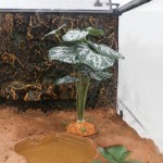 Reptile Plants Factory - Simulation Plant Breeding Box Tortoise Lizard Avoid Plants