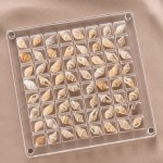 Acrylic Display Case Supplier - Multi-Purpose Clear with Lid Dust-Proof Specimen Box