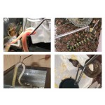 Snake Hook Factory - Stainless Steel Reptile Supplies Portable Retractable Catcher