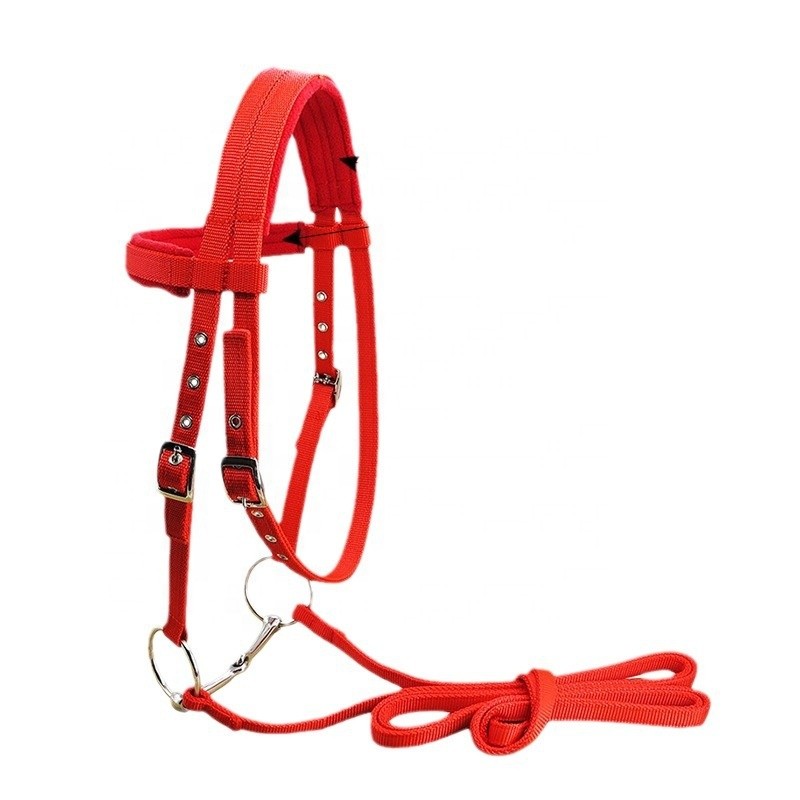 Water Rein Bridle Manufacturer - 20mm Wide PP Webbing White Nickel-plated Horse Bit