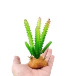 Succulent Plant Supplier - Potted Tabletop Decoration Reptile Box Artificial Green Plant