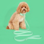 PVC Pet Supplies Manufacturer - Popular Dog Collar Leash Set Waterproof Easy Wash