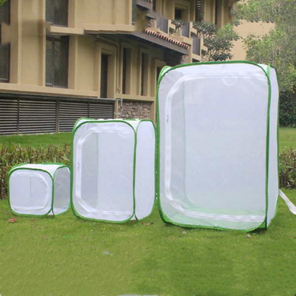 Butterfly Net Cage Factory - High-Quality Foldable for Plant Protection Light Transmission