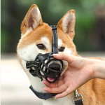 Pet Mask Supplier - Breathable Anti-biting Anti-barking Anti-accidental Eating Reinforced