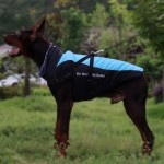 Waterproof Jacket Factory - Top Selling Oxford Cloth Outdoor Running Fall Winter Warm