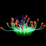 Aquarium Decor Factory - Software Silicone Coral Water Plant Colorful Plastic Luminous