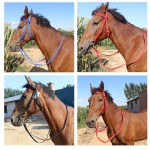 Water Rein Bridle Manufacturer - 20mm Wide PP Webbing White Nickel-plated Horse Bit