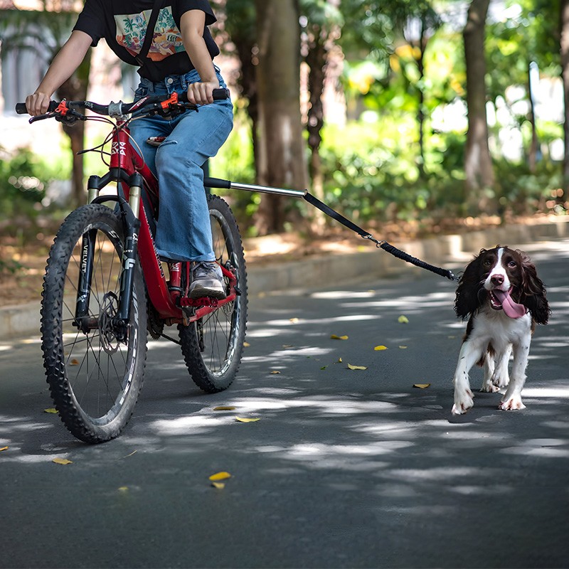Retractable Dog Harness Manufacturer - Upgraded Nylon Decorative Feather