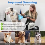 Pet Dryer Factory - Sustainable Polyester Efficient Bathing