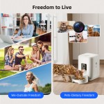 Smart Pet Dry Food Feeder Factory - Tuya App Control Camera Timed