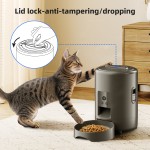 Automatic Pet Feeder Manufacturer - WiFi Camera 2L Tuya App Safety