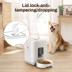 Automatic Cat Feeder Supplier - New Arrival 2L Timed Dry Food