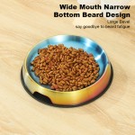 Cat Food Bowl Factory - Luxury Large Bevel Silicone Placemats