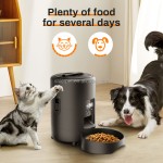 Timed Automatic Pet Bowl Factory - Factory Eco-Friendly Detachable