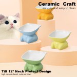 Ceramic Cat Food Bowl Supplier - Eco-Friendly High Foot Neck Protection