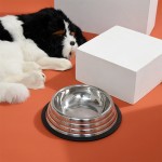 Stainless Steel Pet Bowl Supplier - Wholesale High Quality Anti Slip