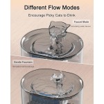 Wireless Water Fountain Manufacturer - 2.2L Plastic Hemispherical Filter