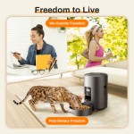 Automatic Pet Feeder Supplier - Hot Selling Button Operated Timed