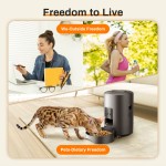 Automatic Smart Pet Feeder Factory - 2L Tuya App Control Slow Food