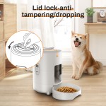 Smart Pet Feeder Manufacturer - 2L WiFi APP Control Quantitative