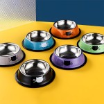 Pet Feeding Bowls Supplier - Wholesale Custom Stylish Durable