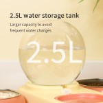 Automatic Pet Bowl Supplier - Hot Selling 3-in-1 Eco-Friendly