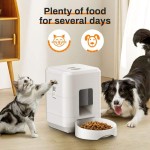 Automatic Cat Feeder Supplier - New Arrival 2L Timed Dry Food