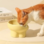 Elevated Cat Bowl Supplier - Extra Wide Ceramic Food Water Bowl Durable Dish Great Height Shallow