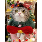 Pet Travel Carrier Manufacturer - Portable PE on Wheels Rattan Wicker Dog Cat Stroller Trolley