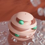 Pet Intelligence Toy Manufacturer - Eco-Friendly Cat Tower Training Amusement Plate Tracks