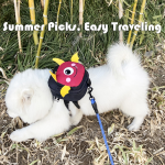 Dog Treat Pouch Factory - Pet Walking Backpack with Leash Clip Hands-Free Waste Bag Dispenser