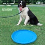 Dog Frisbee Supplier - Durable Floating Bite-Resistant Flying Disc Fashionable Interactive