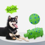 Cat Dog Teething Toy Factory - New Watermelon Fruit Series with Self-Entertainment Sound