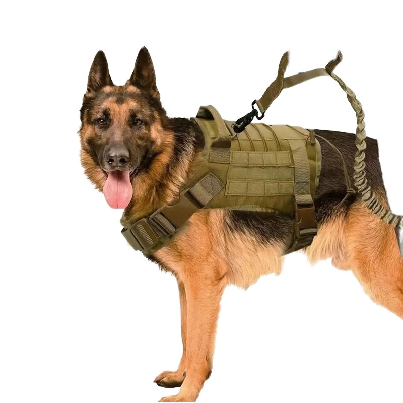 Dog Harness Set Manufacturer - Active Pet Luxury Fleece Warm Mesh Tactical Rescue Reversible