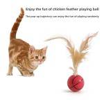 Cat Toy Ball Manufacturer - Wholesales Eco-Friendly Solid Elastic Feather Ball for Cats