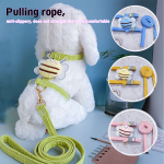 Pet Harness Set Factory - Bee Print H-Shape Escape-Proof Vest Leash for Small Dogs Kittens