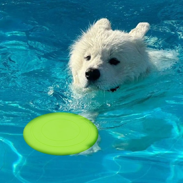 Dog Frisbee Supplier - Durable Floating Bite-Resistant Flying Disc Fashionable Interactive