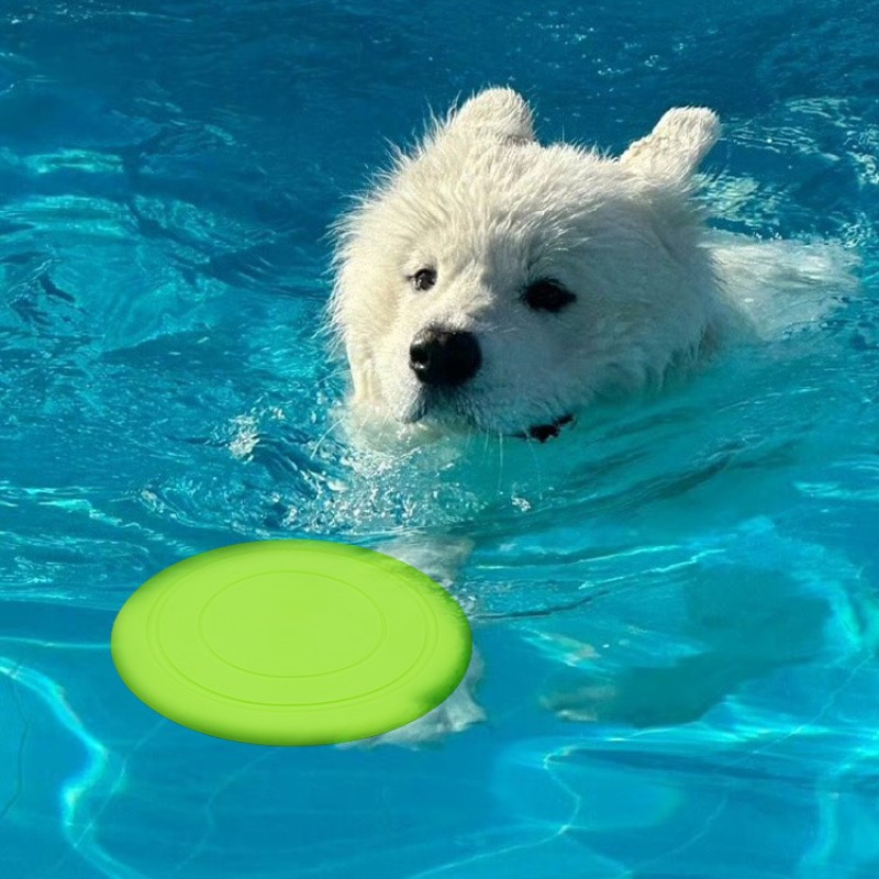 Dog Frisbee Supplier - Durable Floating Bite-Resistant Flying Disc Fashionable Interactive
