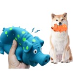 Cat Dog Teething Toy Factory - New Watermelon Fruit Series with Self-Entertainment Sound