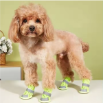 Summer Dog Shoes Manufacturer - Non-Slip Soft Sole Paw Protectors for Hot Pavement Outdoor