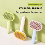 Pet Hairbrush Factory - Premium Plastic and PP Grooming Tools for Dogs and Cats